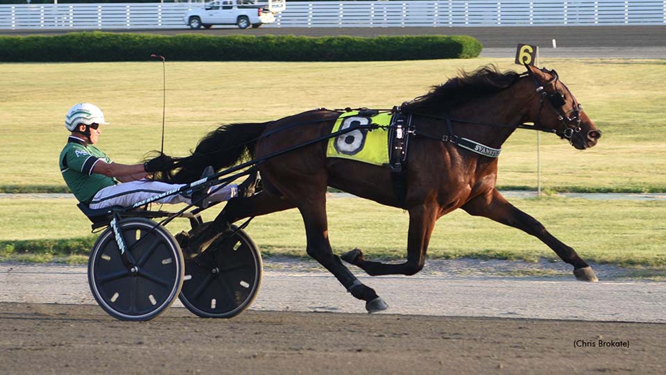 Svanstedt Dreaming Of Hambo Repeat