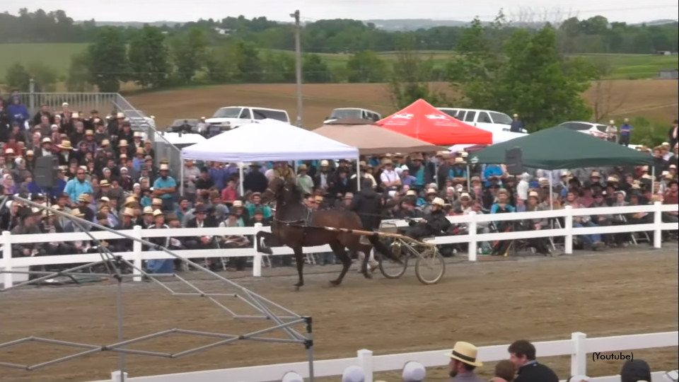 Lordy Lordy! Trotter Brings Seven Figures