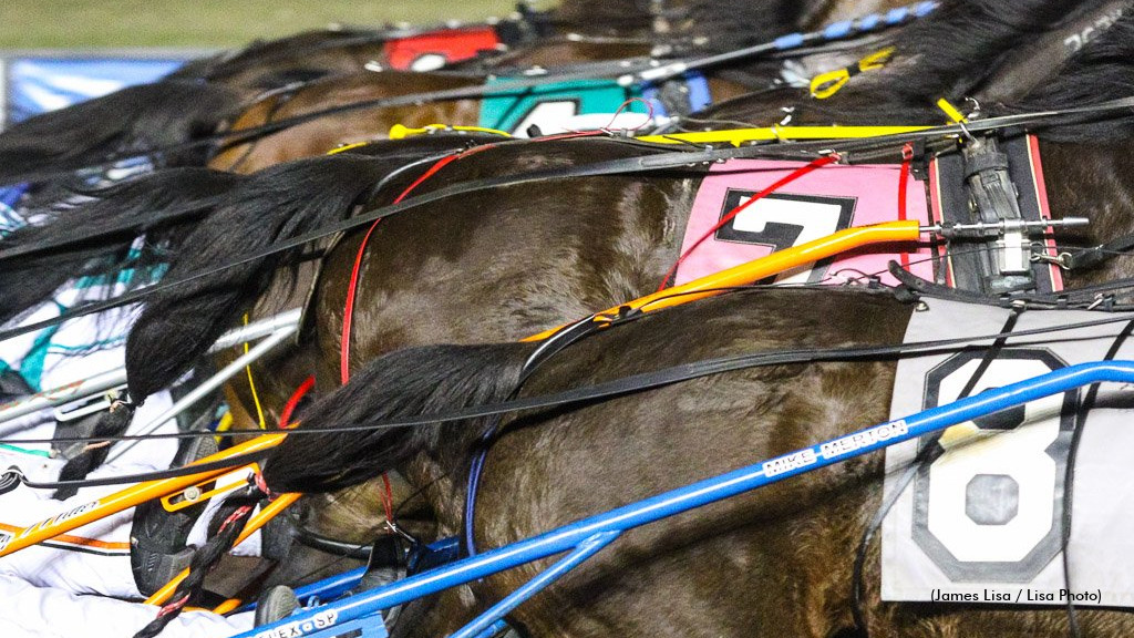 Meadowlands Adds Hi-5 To Wagering Menu Meadowlands Adds Hi-5 To Wagering Menu