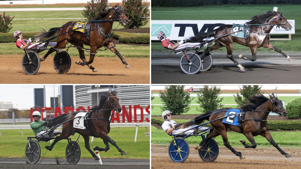 Big Names Impress At The Big M