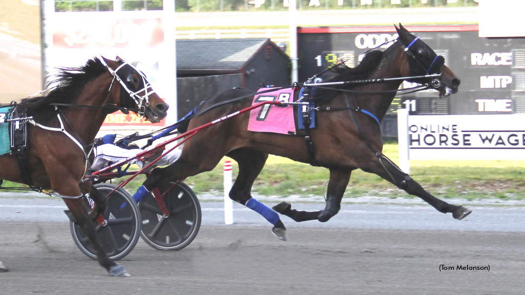 Plainridge Open To Nows The Moment