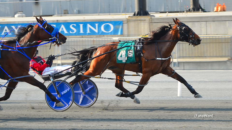 Pass Line Bluechip Bests Mares At Harrington