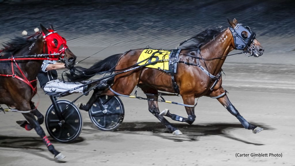 Preferred Hat Trick For Pembrook Legacy N