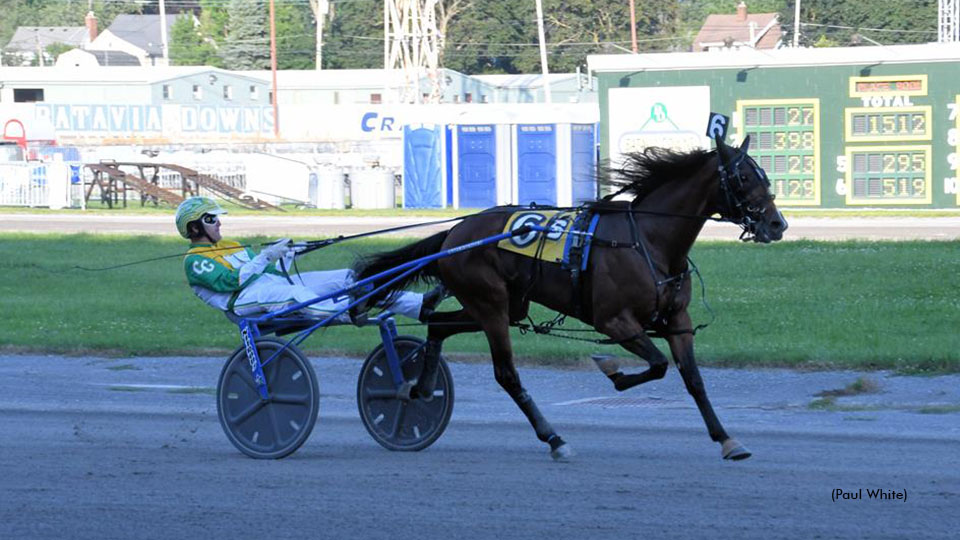 NYSS Colt Trotters Shuffle Off To Buffalo