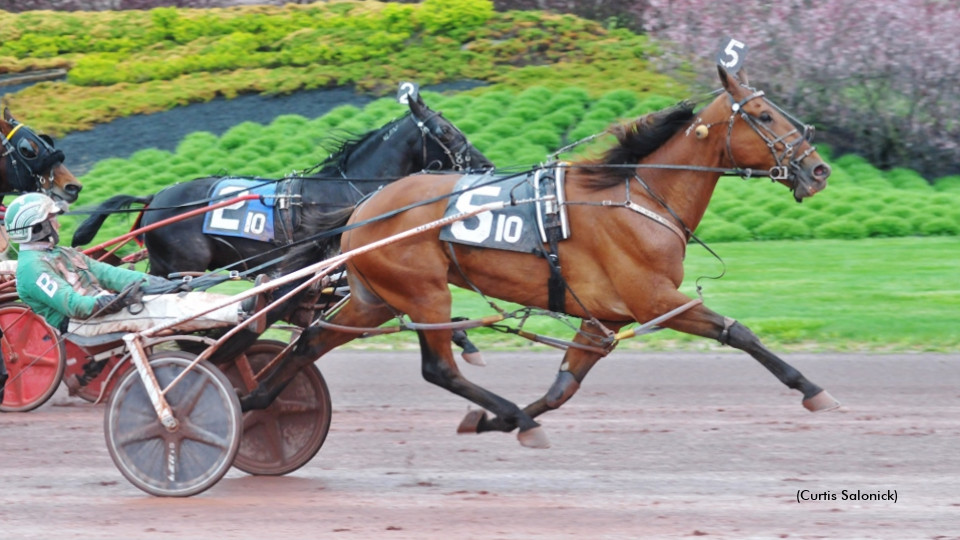Rebellious Quickly Acclimates To Pocono