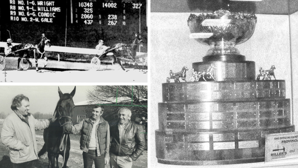 Cam Fella and the 1982 Provincial Cup