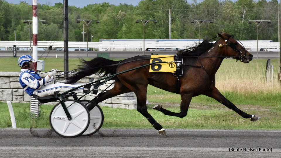 Ripped And Ready Romps In Rideau Preferred