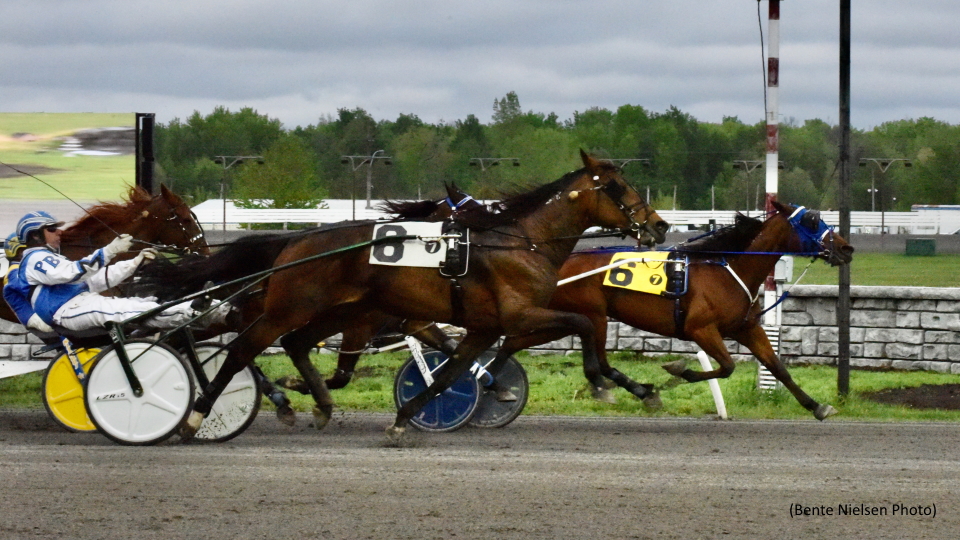 Seeyou Men Upsets In Rideau's Top Trot