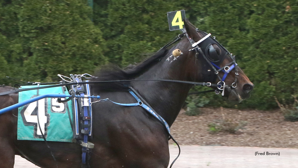 Son Of A Tiger N Leads Harmon Winners