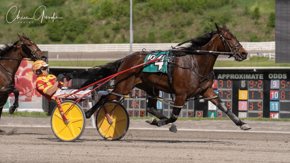 Southwind Aussi Shocks Them At Meadows