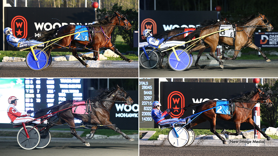 Roy Doubles In Spring Series Finals
