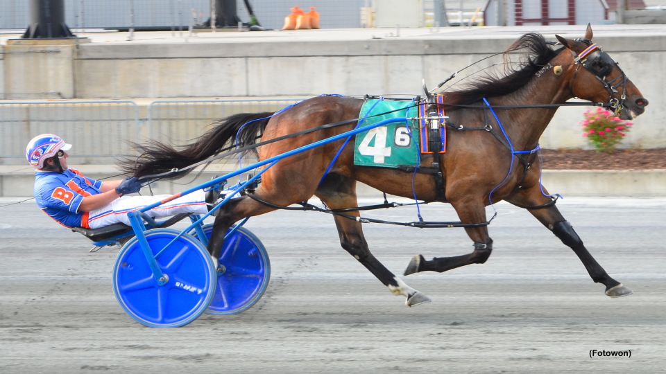 Sprocket Gets All The Marbles In Harrington Open
