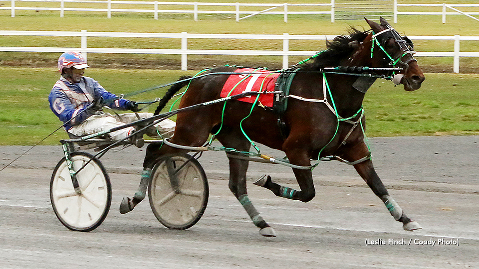 Stash The Cookies Scores At Century