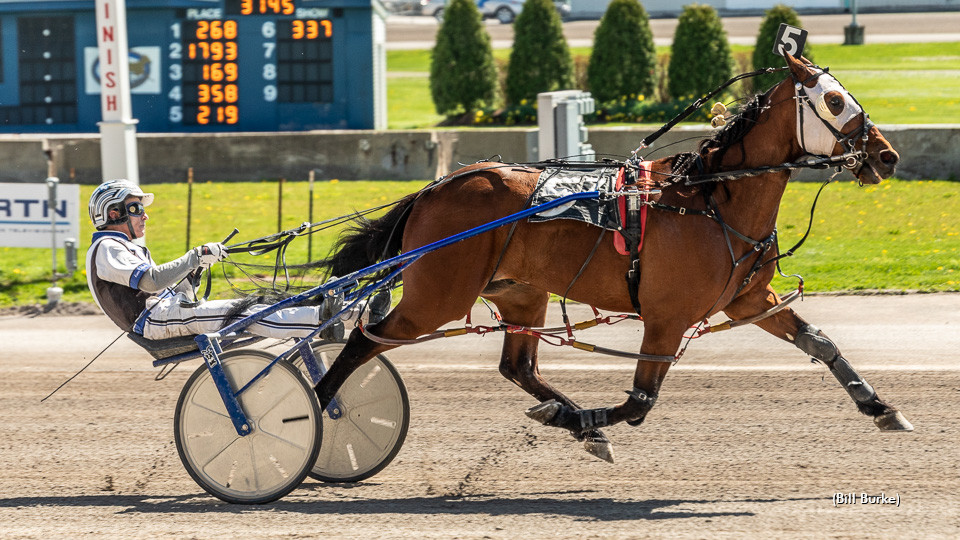 Stop Action, Barn Hall Best At Buffalo