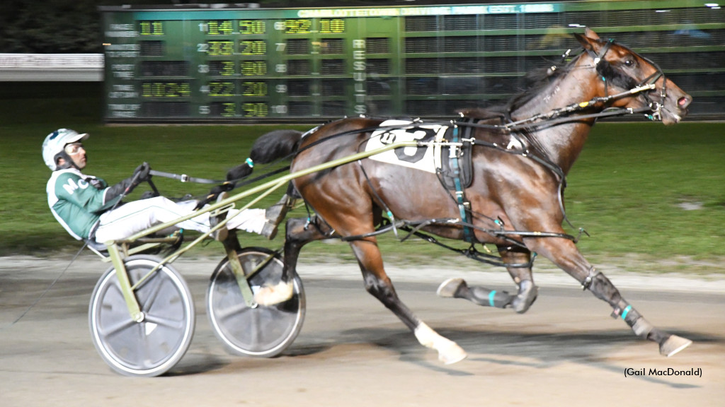 Time To Dance Returns To Red Shores 