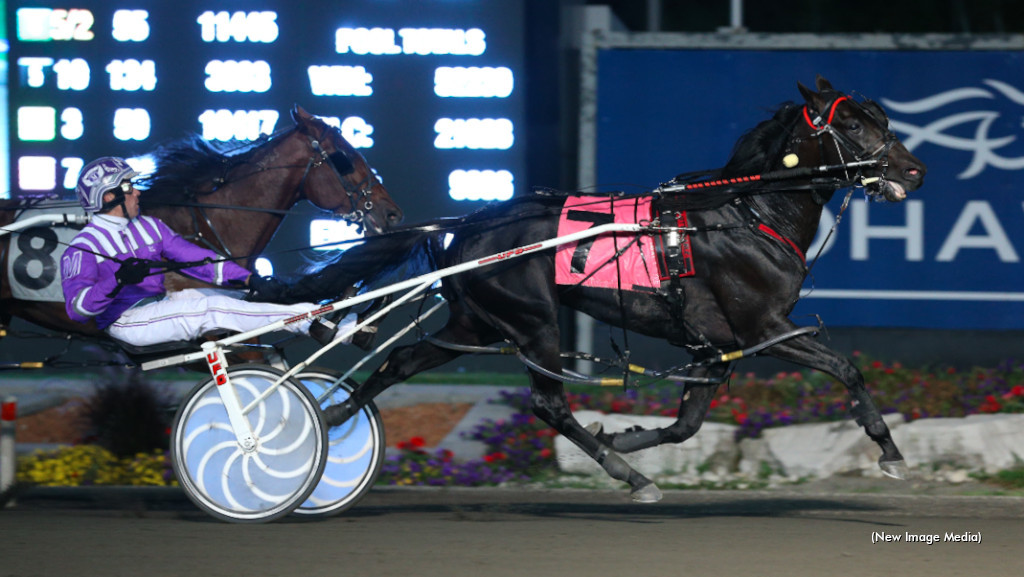 Twin B Tuffenuff Returning To Canada