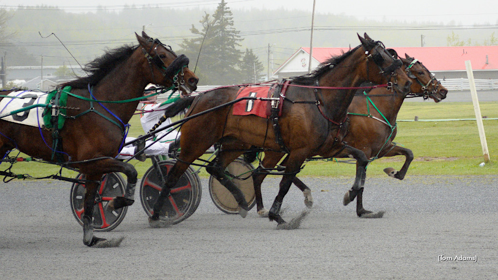 Bremner Memorial Stakes In The Books