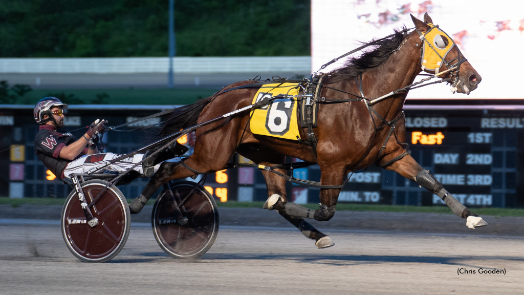Meadows Open Handicap To Dorsoduro Hanover Meadows Open Handicap To Dorsoduro Hanover
