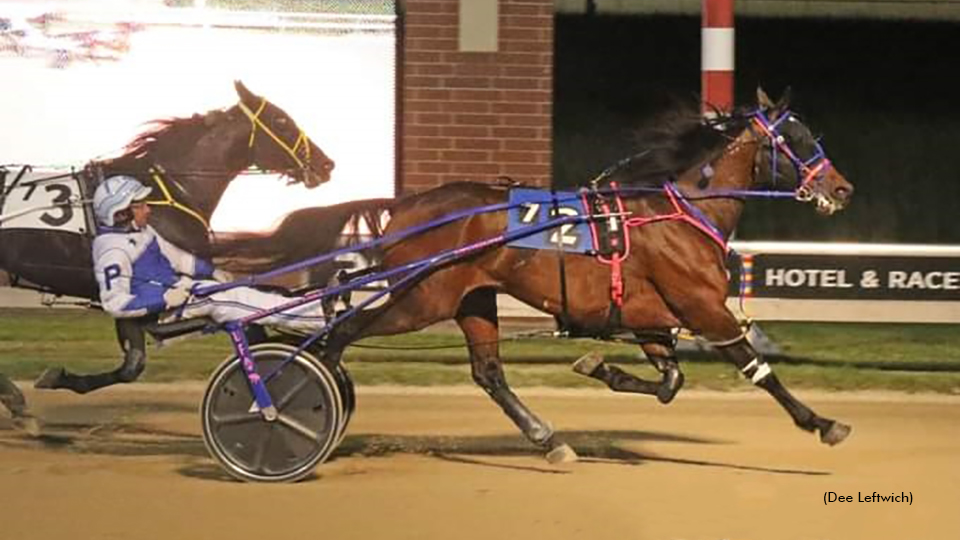 All American N Returns To Aces Winner's Circle All American N Returns To Aces Winner's Circle