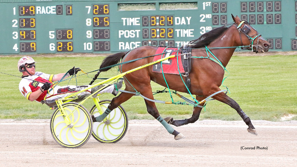 Allnight Micki Best In Buckeye Series