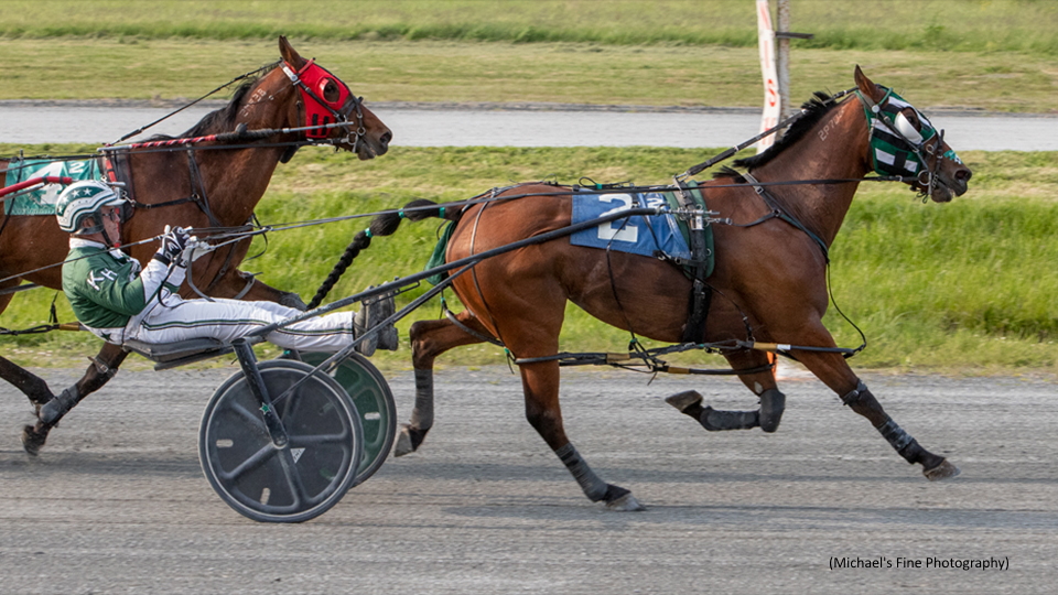 Grand Slam For Armycaptin Hanover