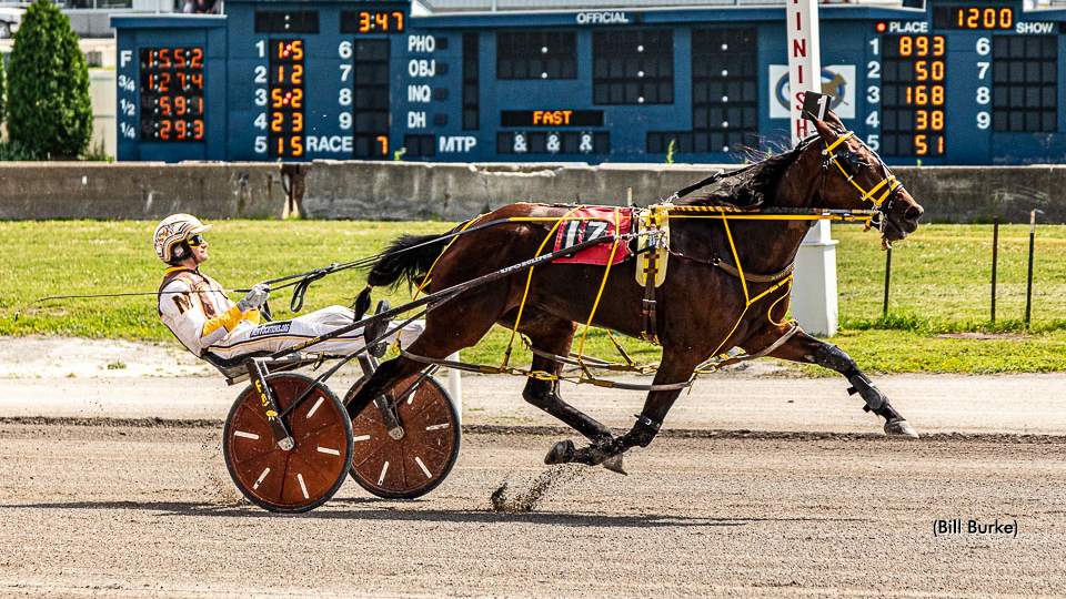 Bellini Seelster Best At Buffalo