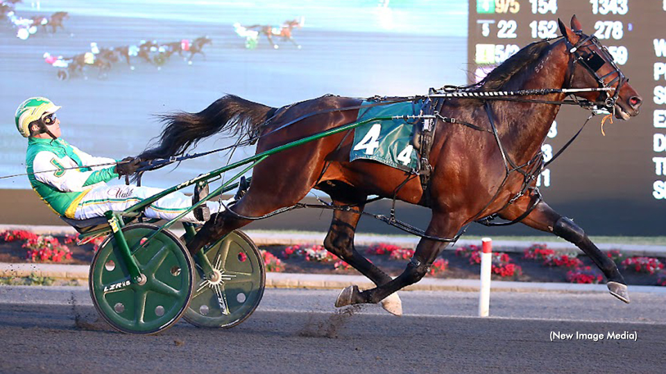 'Bulldog' Cruises In Graduate Prelim