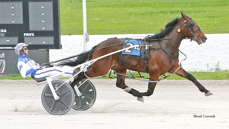 Ohio Sire Stakes Colts Head To Northfield Saturday