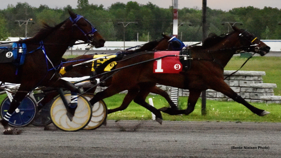 Cheque The Magic Rolls In Rideau Preferred