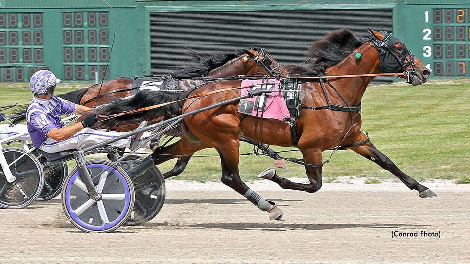 Lifetime Marks Taken In OHSS Prelim