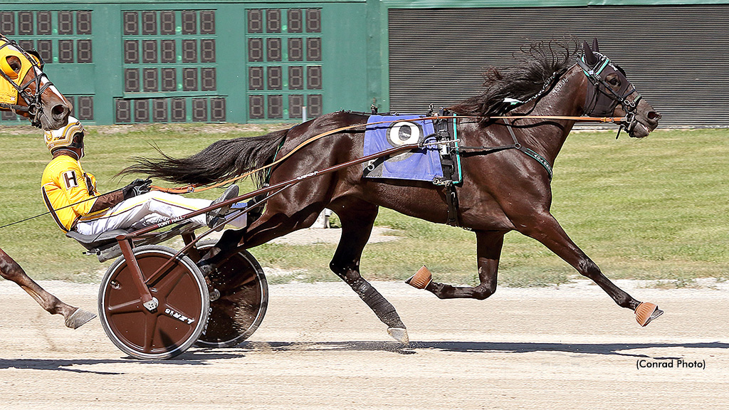 Cleopatra As Captures Brandt Trot Final