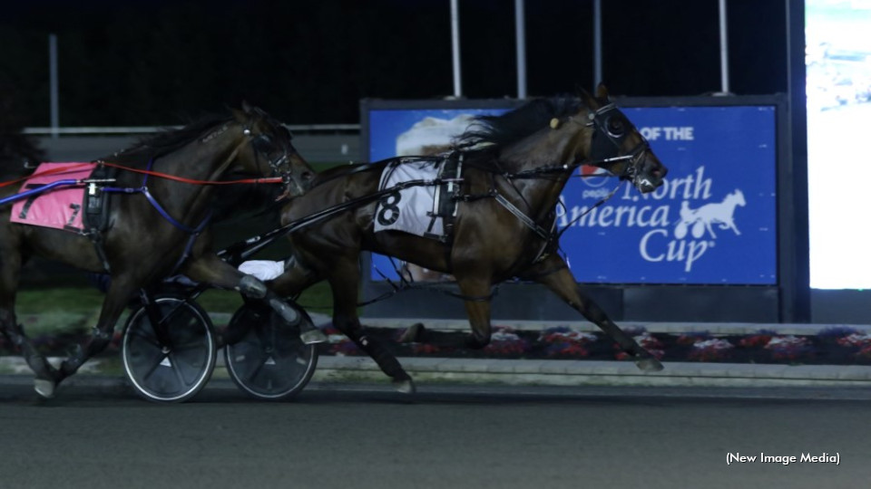 Pop Up Sweep For Cool Clifford