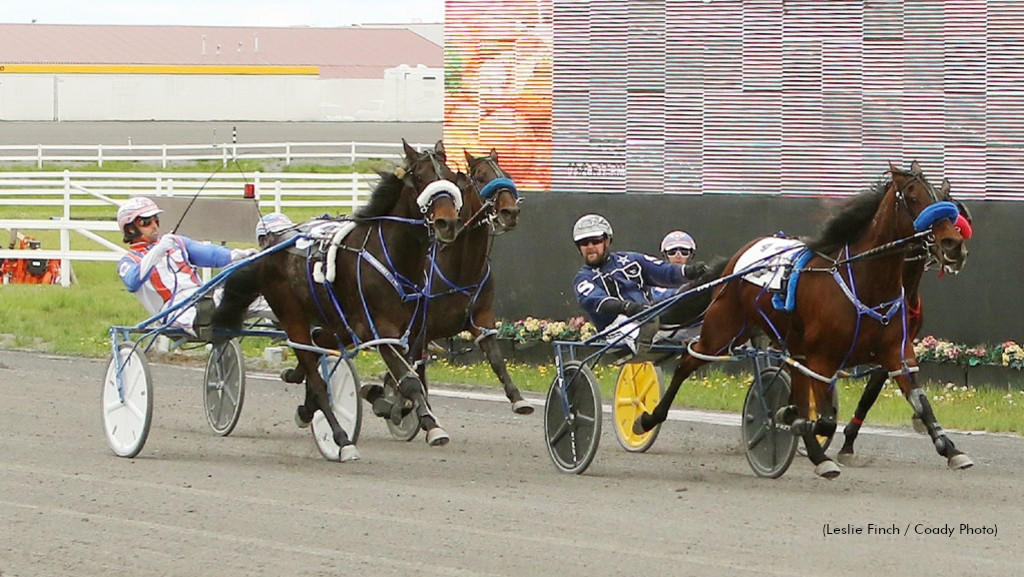 Longshot Comes Up With Big Win At Century Downs