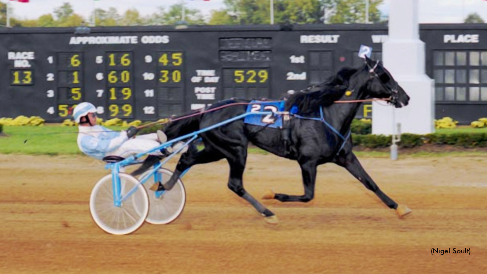 Credit Winner Passes