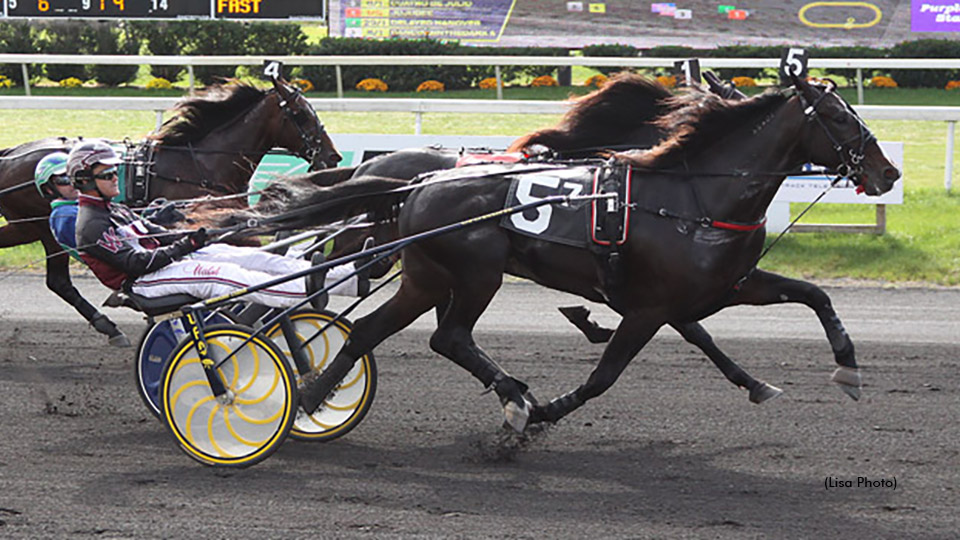 Cuatro De Julio Retired To Stud