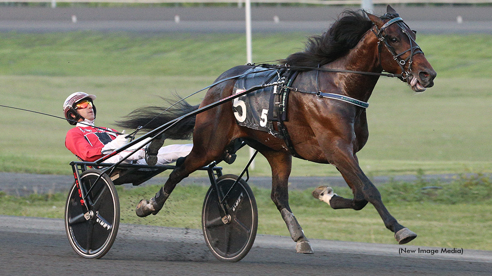 Dunn Discusses NA Cup Night Trotters
