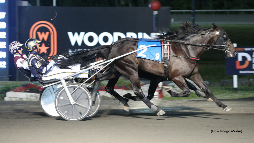 Forbidden Trade Tops Open Trotters Again