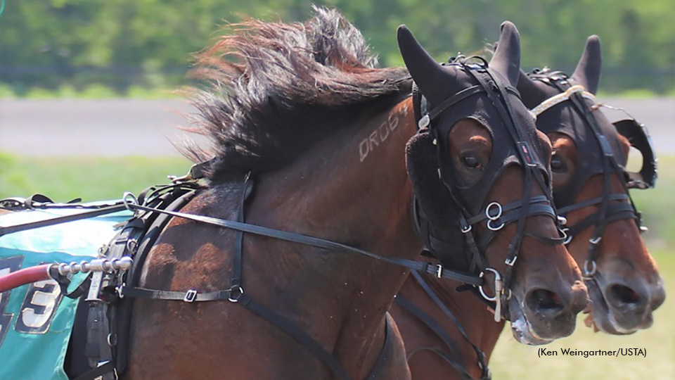 Gaitway, Magical Acres Qualifiers To Be Streamed Live