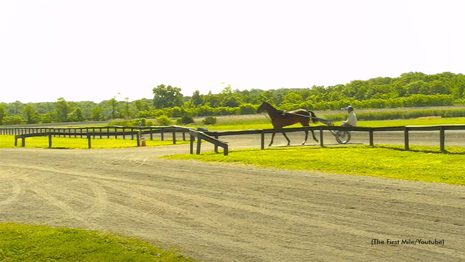 Baby Races Begin At Gaitway Farm