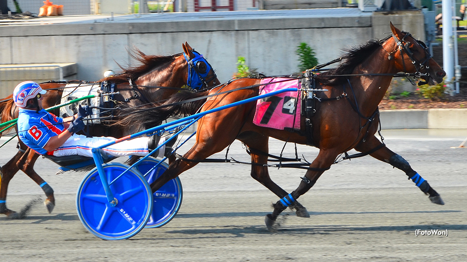 Fillies Fight In First DSBF Prelim