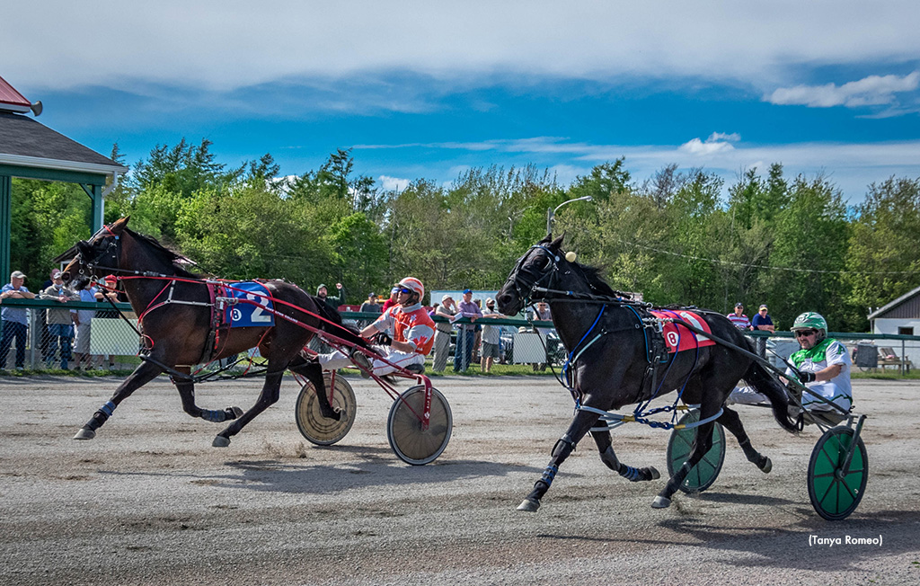 Gentry Seelster Wins Feature At Northside Downs