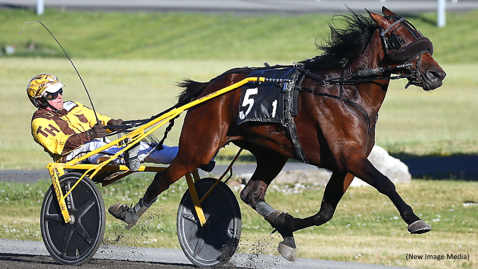 Trotting Fillies Flaunt It At Mohawk Park