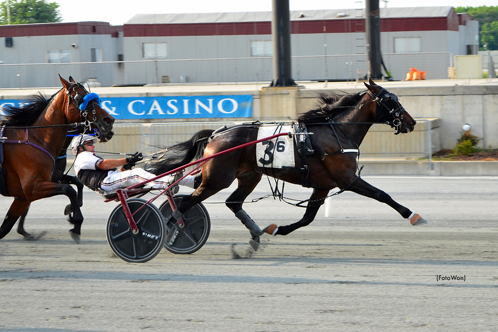 Hatikvah Upsets In Harrington Open