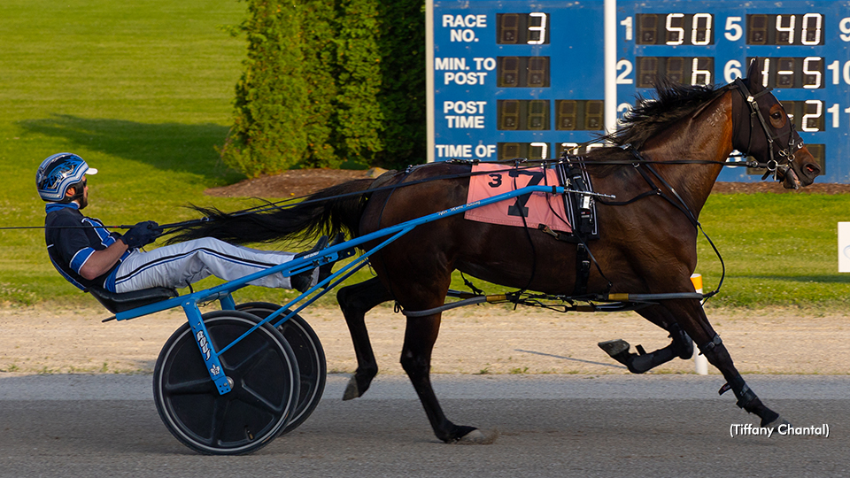 Heavens Showgirl Matches Grand River Record