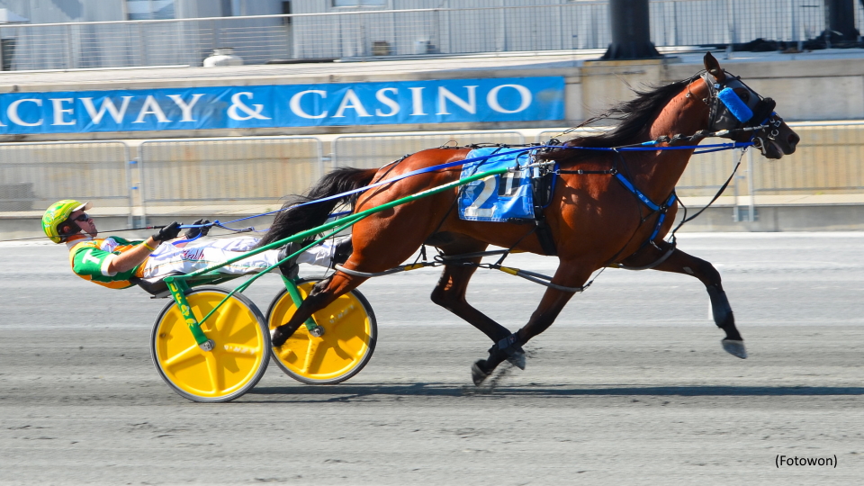 Sophomores Spar In Delaware Standardbred Breeders Fund