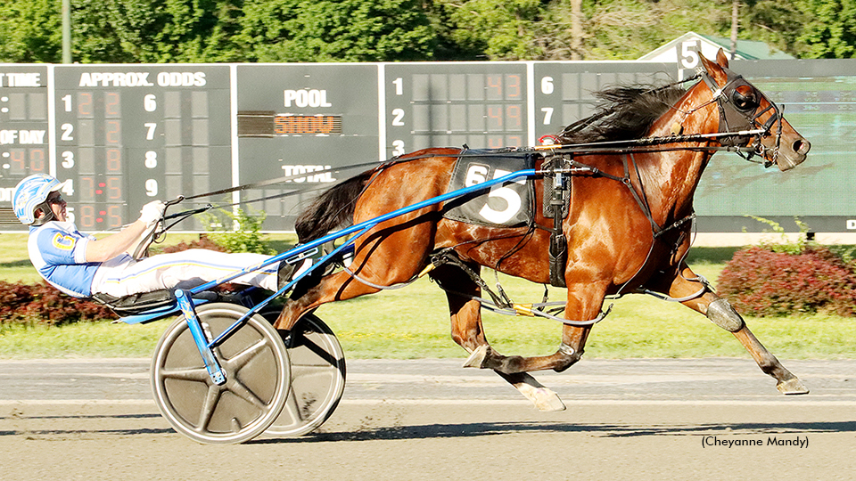 Im Sir Blake A Tops Saratoga's Open Pacers
