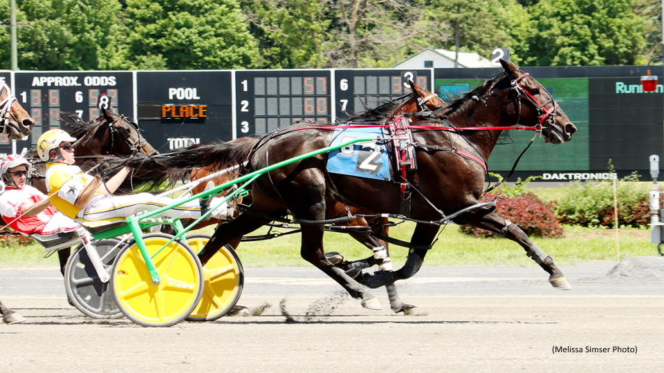 Infinite Symbol A In A Saratoga Shocker