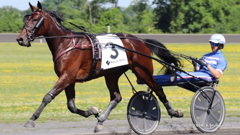 Instagram Model Clicks At Magical Acres