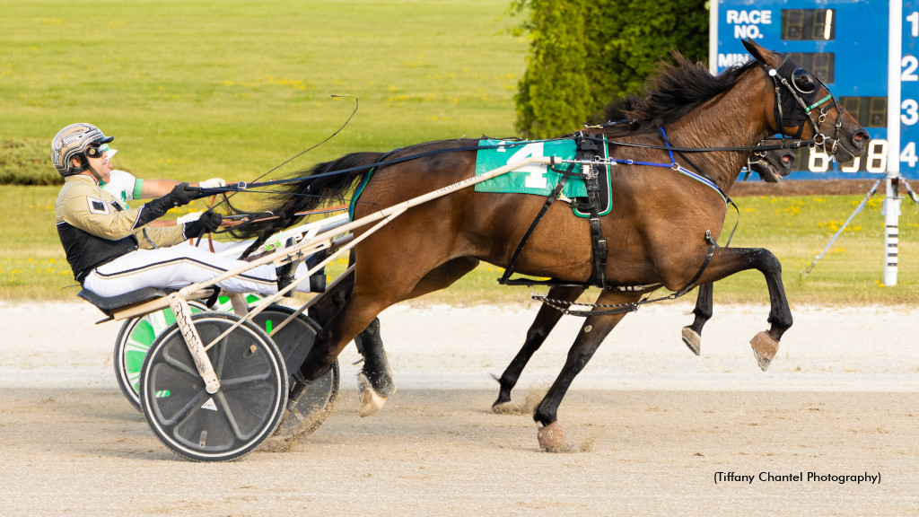 Jandals, Royaltys Dream Win In Prospect Series