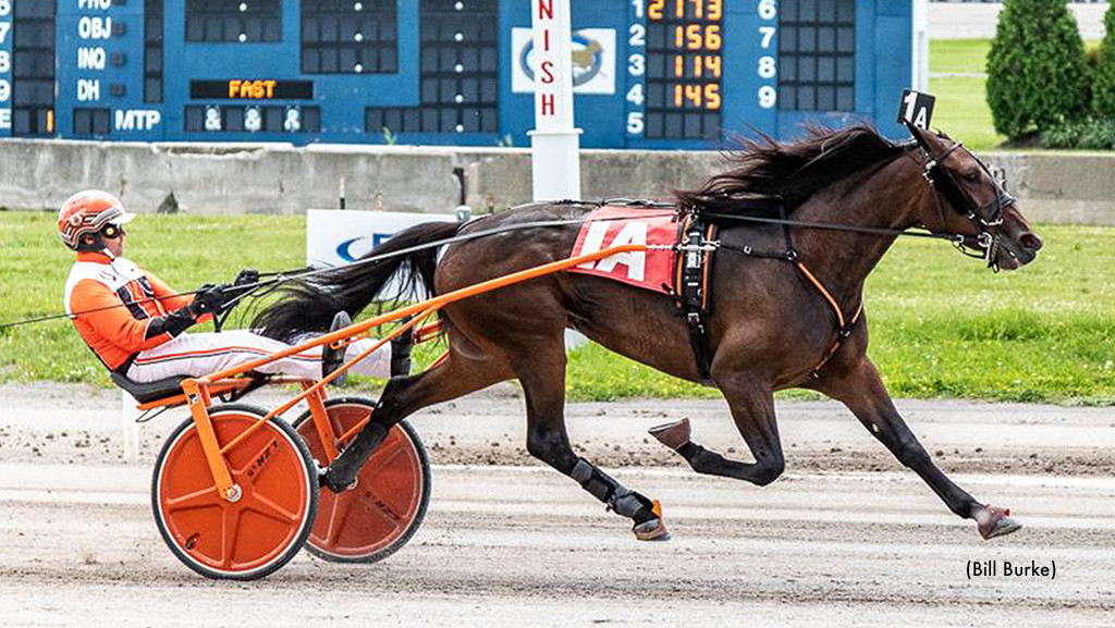 Je Suis Si Belle Steals The Show At Buffalo